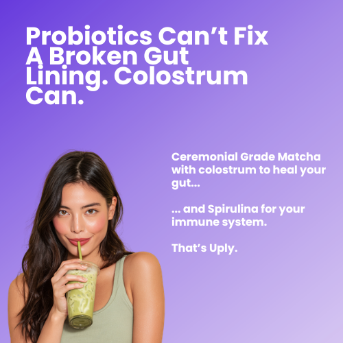 Uply Immunity Matcha Regular