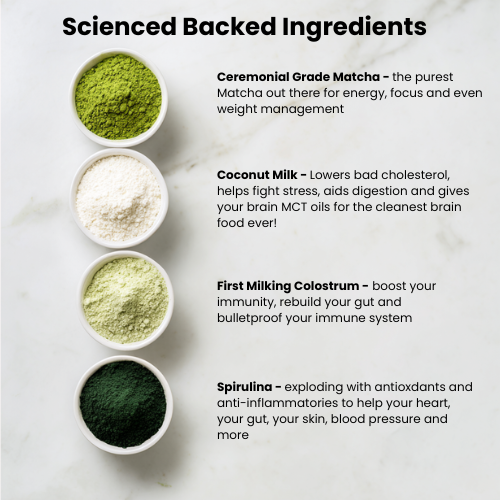 Uply Immunity Matcha Regular